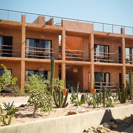 ホテル Baja Temple トドス・サントス エクステリア 写真