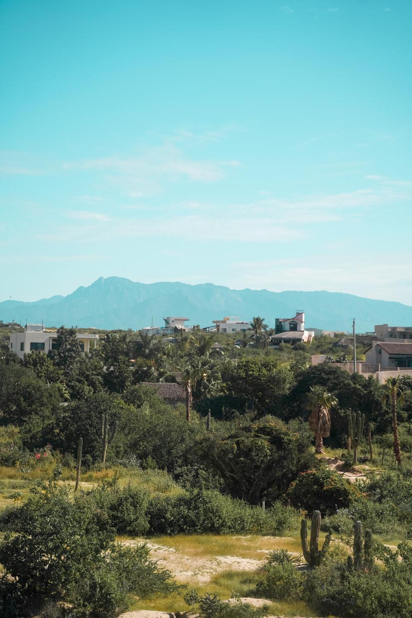ホテル Baja Temple トドス・サントス エクステリア 写真