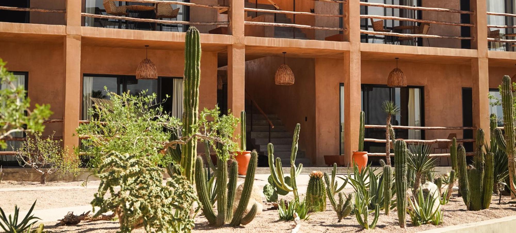 ホテル Baja Temple トドス・サントス エクステリア 写真