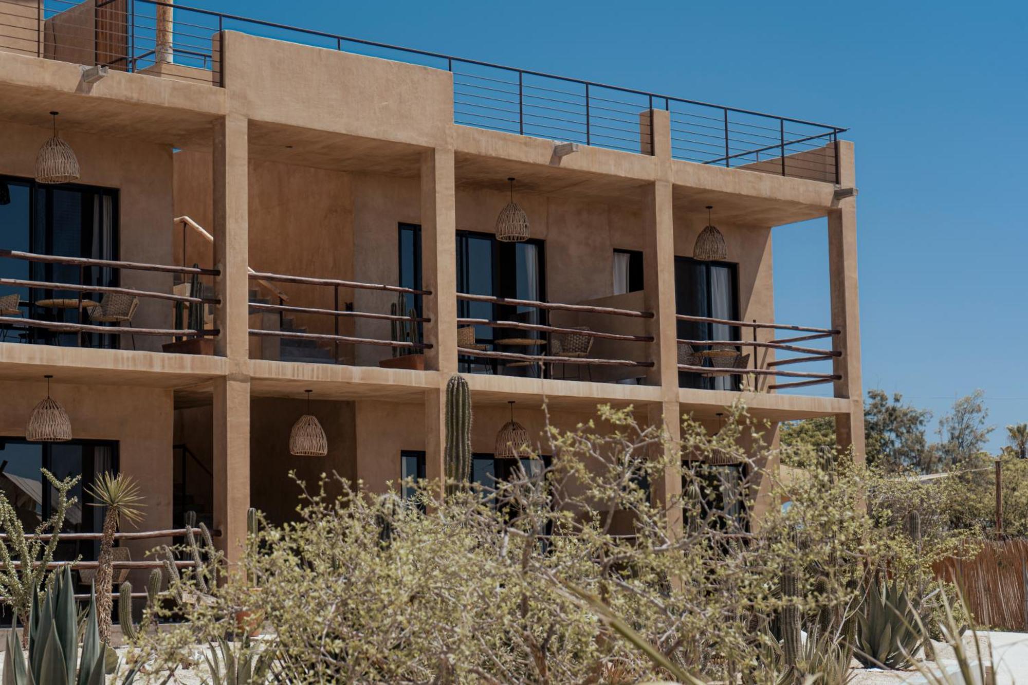 ホテル Baja Temple トドス・サントス エクステリア 写真